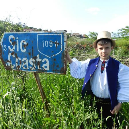 Csipkeszeg Bed & Breakfast Sic / Szek Romania Exterior photo