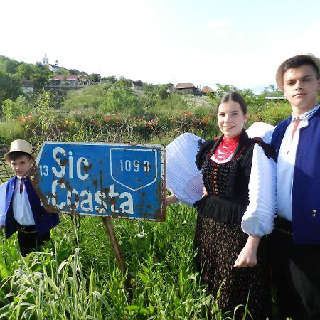 Csipkeszeg Bed & Breakfast Sic / Szek Romania Exterior photo