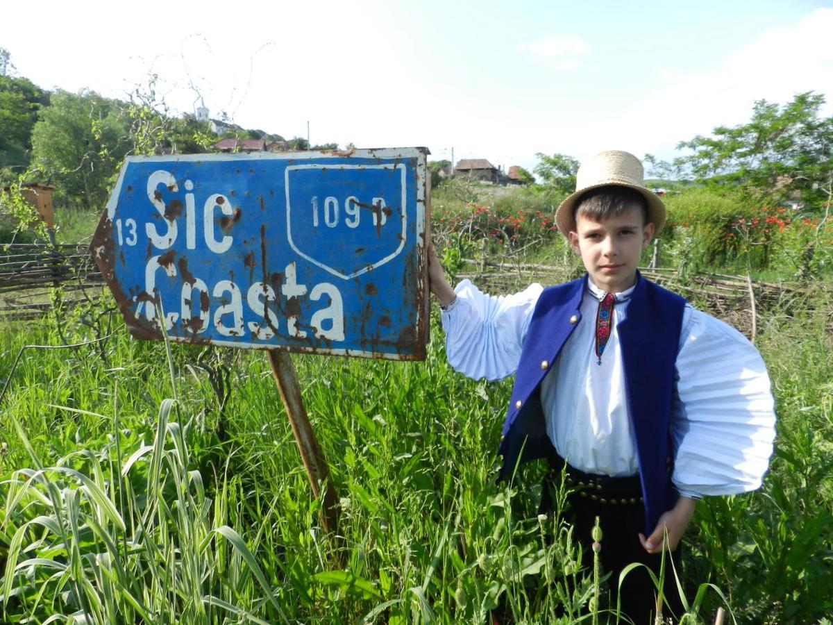 Csipkeszeg Bed & Breakfast Sic / Szek Romania Exterior photo