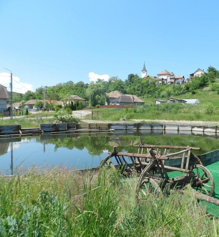 Csipkeszeg Bed & Breakfast Sic / Szek Romania Exterior photo