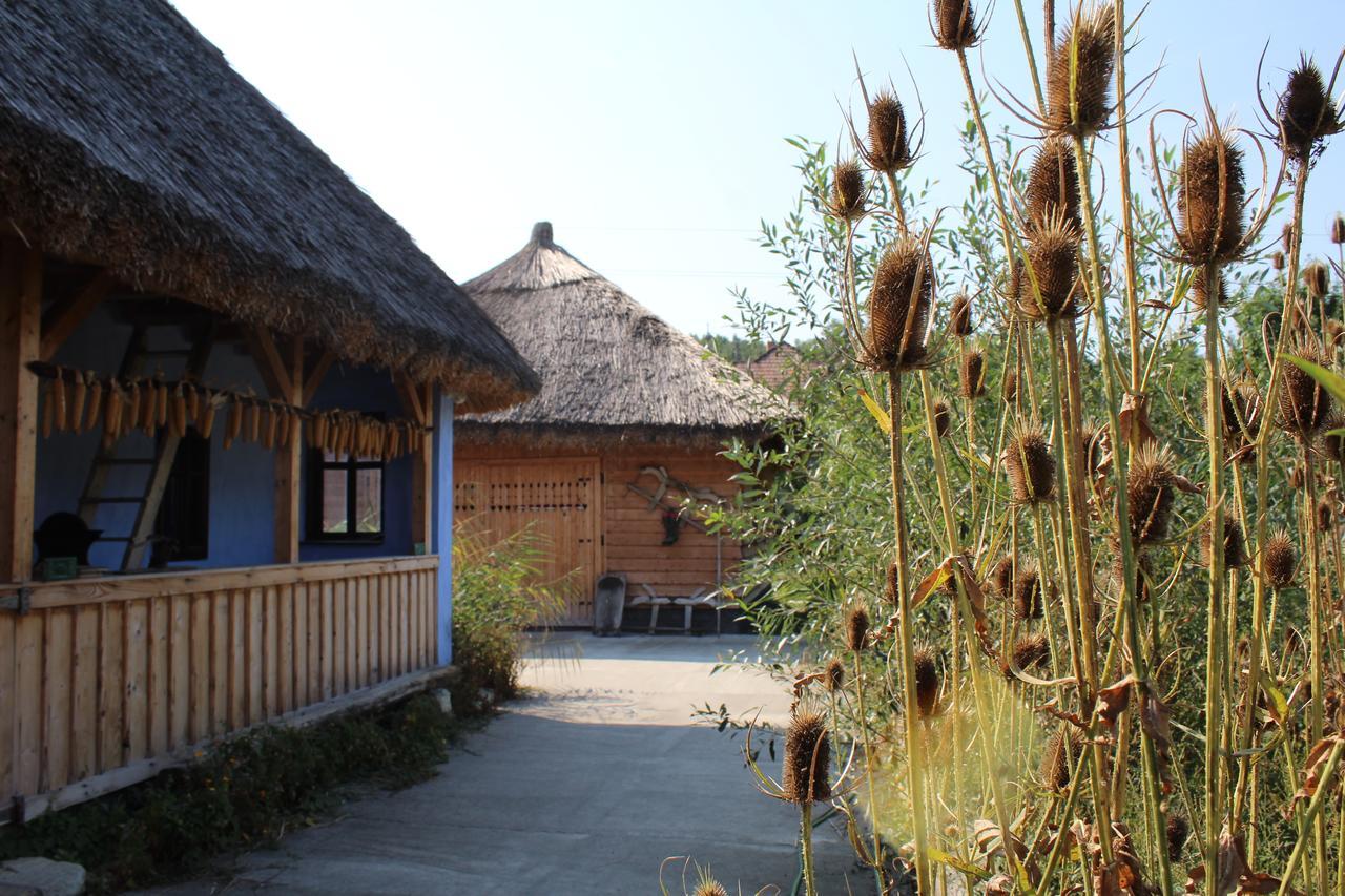 Csipkeszeg Bed & Breakfast Sic / Szek Romania Exterior photo