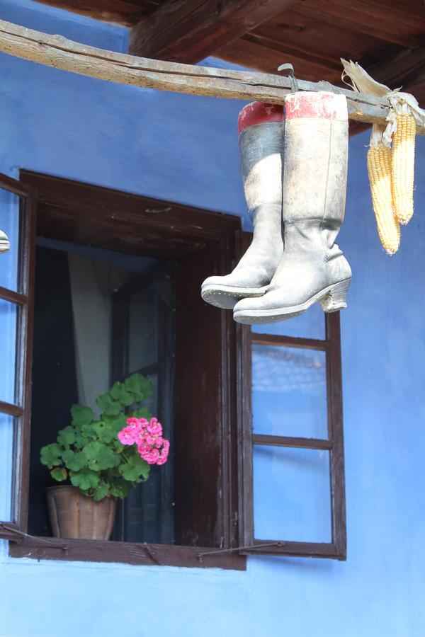 Csipkeszeg Bed & Breakfast Sic / Szek Romania Exterior photo